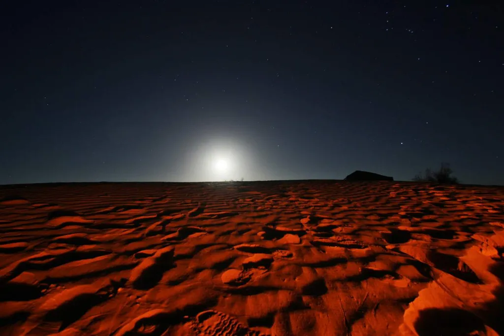 Day 10: Ksar Ghilane, oasis in the desert