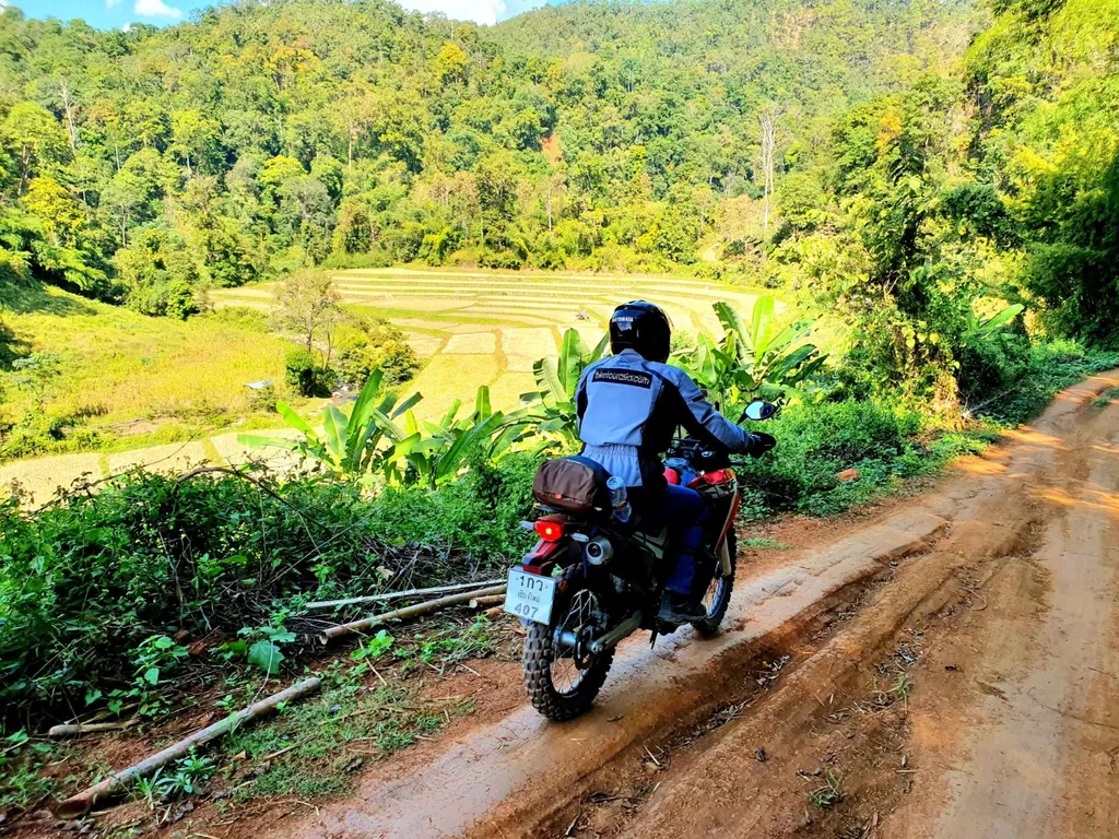 Tag 4: Phu Chi Fha – Chiang Rai, 250 km