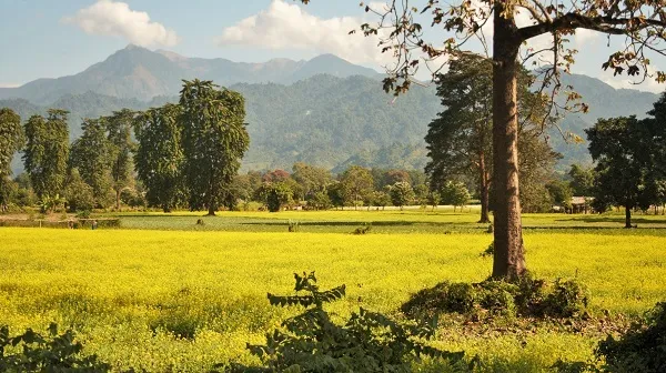Tag 9: Kohima - Diphu (170 km)