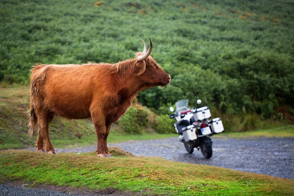 Motorradreise Schottland: Highlands, Küsten & Kilts