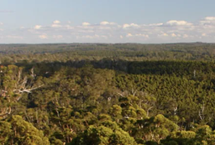 Tag 5: Busselton – Pemberton, 200 km