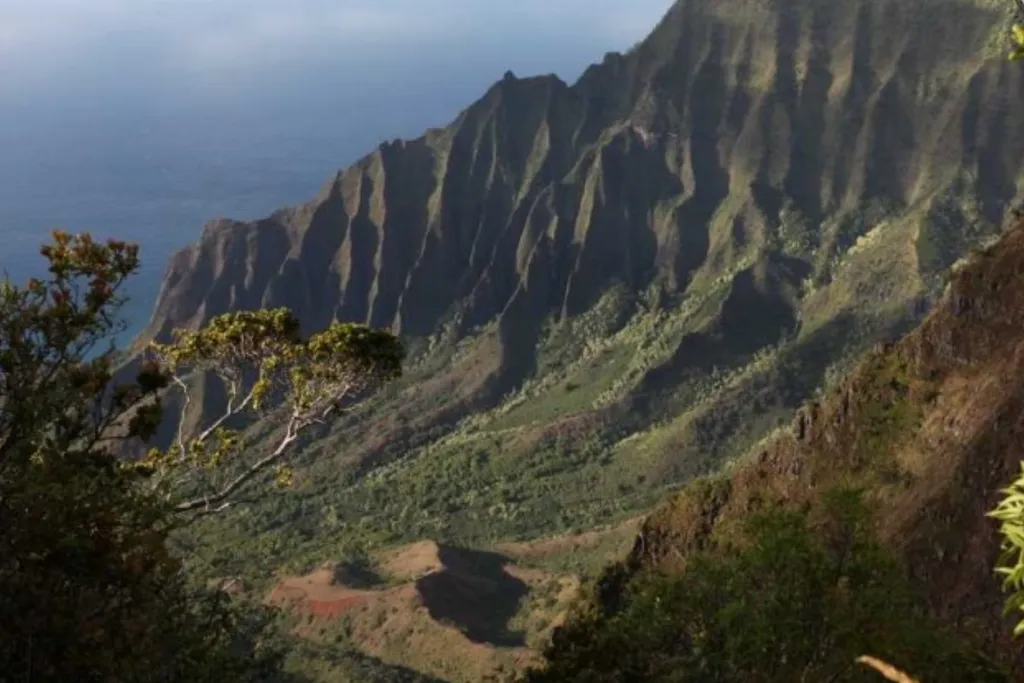 Day 13: Haleakala Volcano – Lavender Farms, 230 km