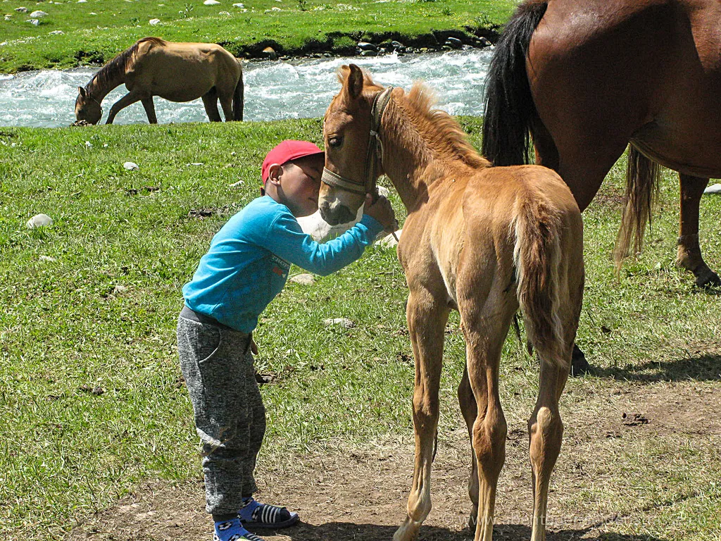 Kappadokien – Feenkamine in Göreme