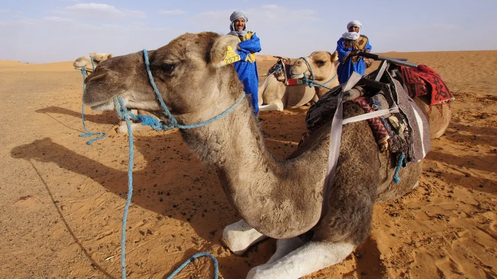 Marrakesch – Dades