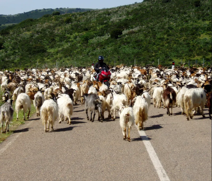 Alghero – Nordwestliche Etappe