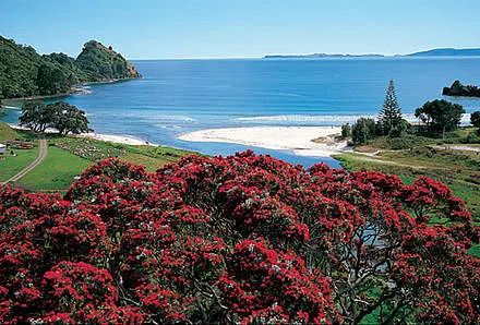 Tag 4: Motorradübernahme, Fahrt nach Paihia
