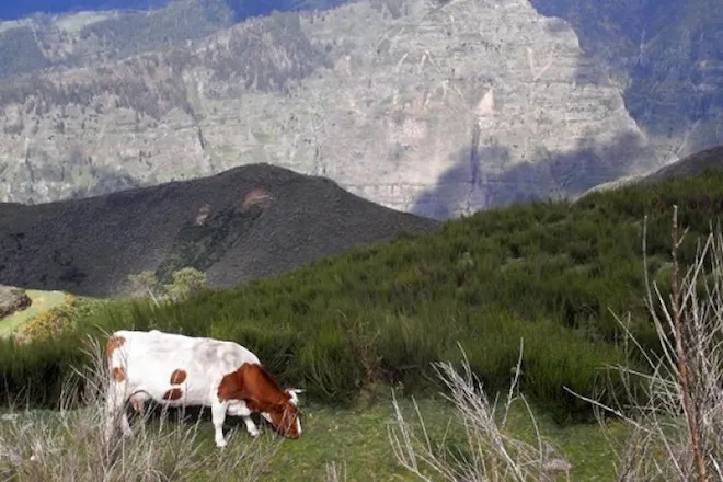Tag 3: Passstraßen zum Pico do Arieiro