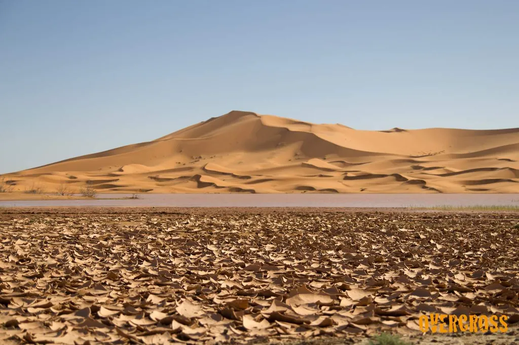 Motorradreise Marokko: Sahara, Atlas & Königsstädte – Bild 2