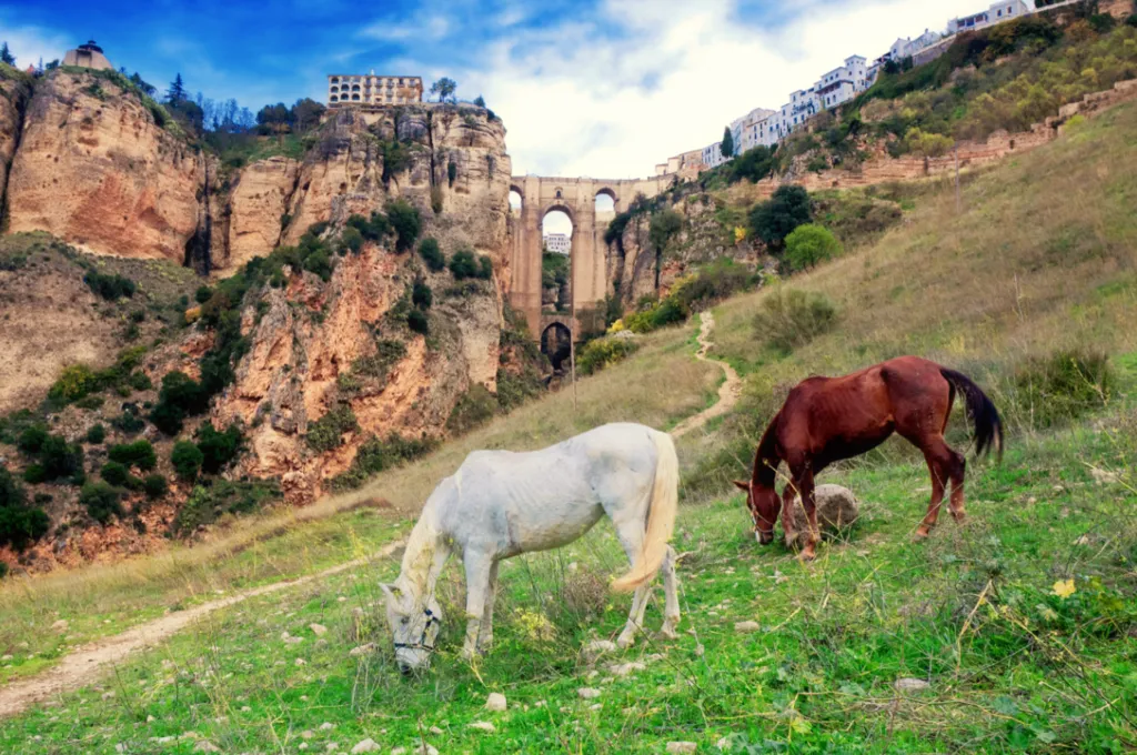Tag 7: Malaga – Marbella – Ronda