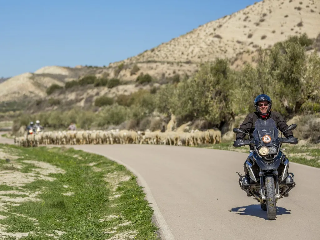 Tag 3: Sierra Nevada – Rundfahrt ab Nerja