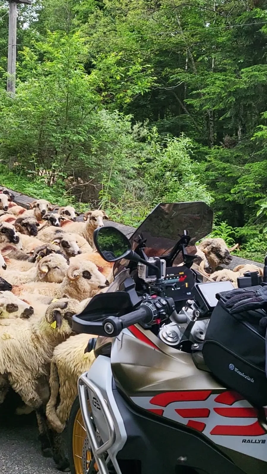 Romania Motorcycle Tour: Transylvania & Carpathians