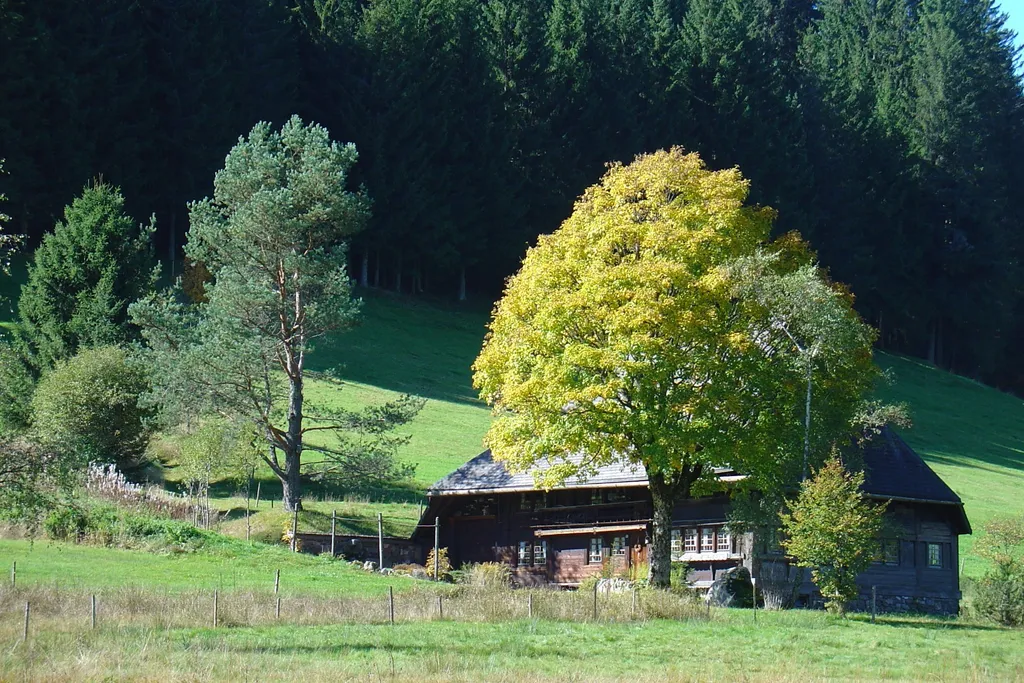 Motorradtour Schwarzwald & Bodensee selbstgeführt