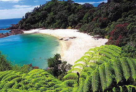 Tag 7: Von Orewa nach Coromandel