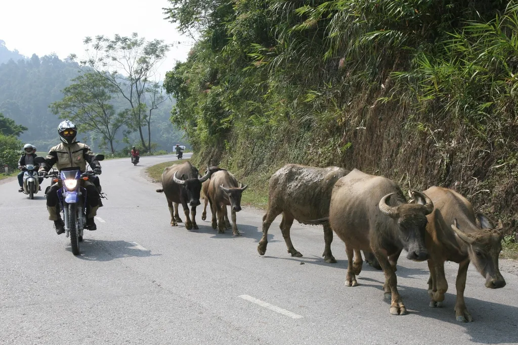 Day 5: Dong Hoi – Phong Nha