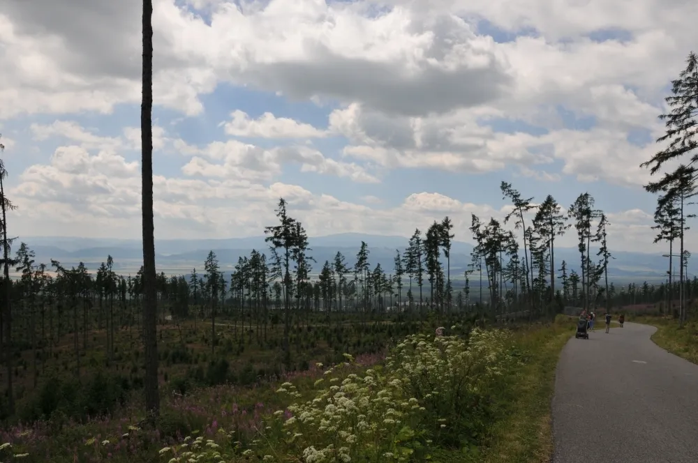 Motorradtour Hohe Tatra: Slowakei & Alpen