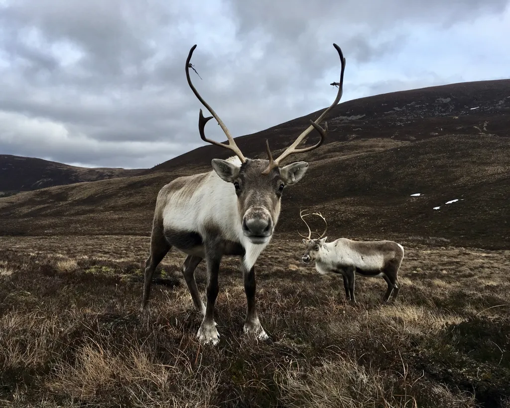 Scotland Motorcycle Tour: Through the Highlands