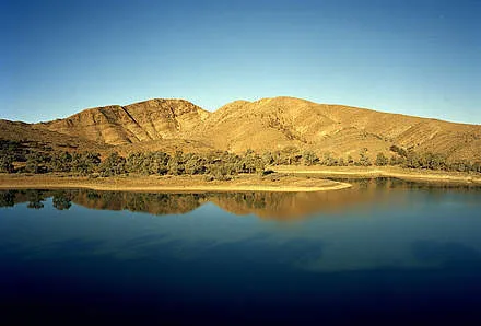 Tag 15: William Creek – Wilpena, 480 km