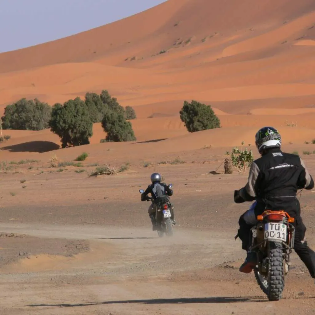 Day 7 to 11: Douz, into the Sahara