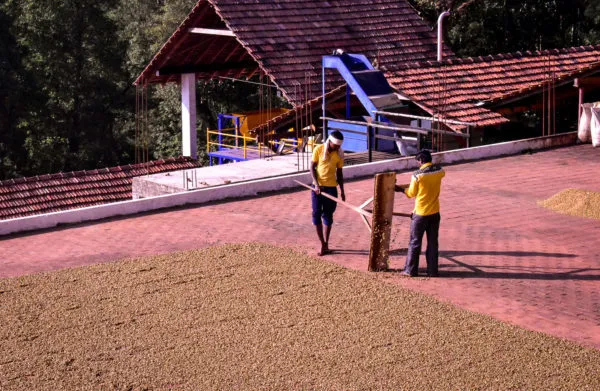 Motorradreise Südindien: Motorradtour Kerala & Goa
