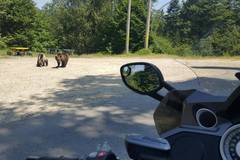 Motorradreise / Tour: 8 Tage Karpaten-Highlight-Tour für Selbstfahrer