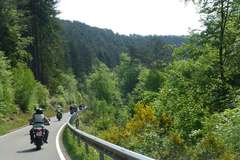 Motorcycle Tour: Palatinate in autumn - tours between wine and forest