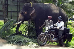 Motorcycle Tour: Tropical - Exotic South - India