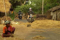 Motorradreise / Tour: Süd-Indien, Coast-to-Coast