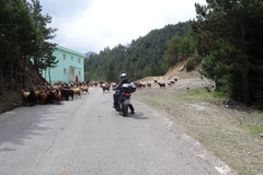 Motorradreise / Tour: Albanien, eine Erlebnisreise der besonderen Art