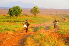 Motorradreise / Tour: Uganda & Ruanda Gorilla Safari