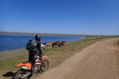 Motorradreise / Tour: Mongolei: Khangai Little Baikal, 12 oder 10 Tage