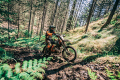 Motorradreise / Tour: 5-tägige Enduro Reise in Serbien