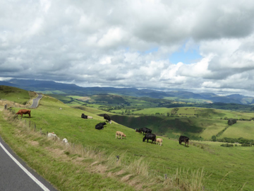Wales Touren Im Land Des Roten Drachen Motourismo
