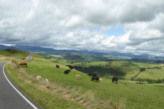 Motorradreise / Tour: Wales - Touren im Land des roten Drachen