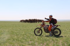 Motorradreise / Tour: Mongolei: Master Rally