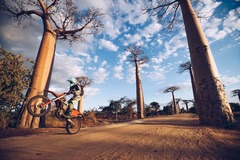 Motorradreise / Tour: Madagaskar: Safari Motorradreise