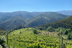 Motorradreise / Tour: Super Enduro: 4 Tage Offroad im Douro-Tal Nordportugal