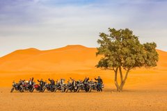 Motorradreise / Tour: Marokko - Berge, Wüsten und Oasen