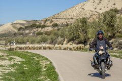 Motorradreise / Tour: Andalusien Ost - 6 Tage - Selbstgeführte Motorradtour