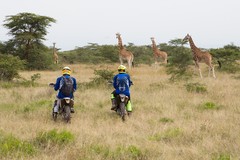 Motorradreise / Tour: Kenia: 4 Tage Off-Road Tour im Soysambu Conservancy