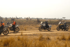Motorcycle Tour: 10 - Day Best of Uganda
