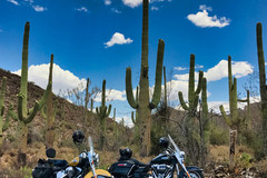 Motorcycle Tour: Semi - guided: Coast to Coast - from Los Angeles to Orlando