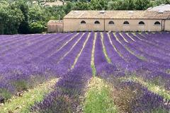 Motorcycle Tour: South of France: Vercors, Provence and Lavender Blossom