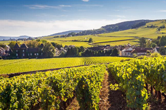 Motorcycle Tour: Motorcycle tour in Burgundy