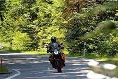 Motorradreise mit Training: Bayerischer Wald, Waldviertel und Böhmerwald, 5 Tage