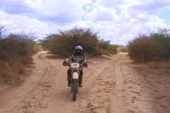 Motorradreise / Tour: Tansania Wildthing
