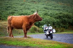 Motorcycle Tour: The Highlands - coasts, castles, kilts - 13 days