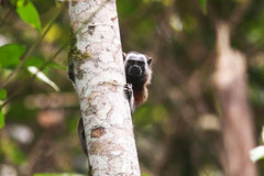 Motorcycle Tour: Colombia: 2 Day Guatape Adventure - Medellin