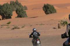 Motorradreise / Tour: Geführte Enduro-Tour durch die Sahara in Tunesien