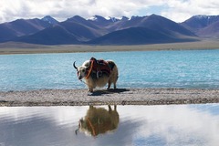 Motorradreise / Tour: Abenteuer Motorradreisen in Tibet entdecken