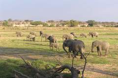 Motorradreise / Tour: Enduro-Abenteuer in Ostafrika: Uganda, Tansania & Kenia Tour